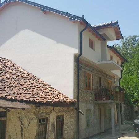 Aste Guesthouse Tropoje Zewnętrze zdjęcie