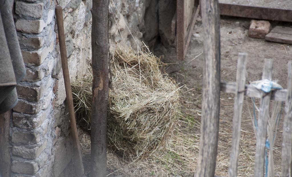 Aste Guesthouse Tropoje Zewnętrze zdjęcie